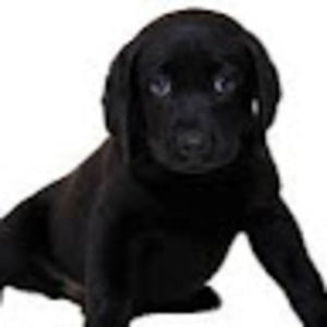 Meet your Posher, Kandice